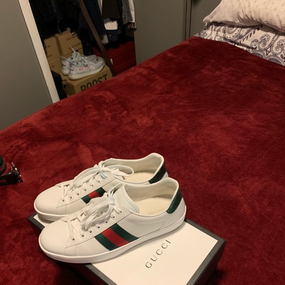 Gucci Other - Shoes
